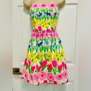 Lilly Pulitzer Women's Payton Multi Floral Line Dance Dress.